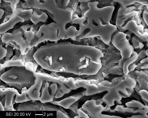 85 Figura 4.69 - Imagem de elétrons secundários após ensaio de DL-EPR em amostra envelhecida por 240 h a 800 C. Fase intermetálica indicada por seta. As Figura 4.70 a Figura 4.