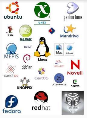 Qual S.O. usar? UNIX (ou derivados): Ubuntu, Mac, Mint, etc. Não conheço outro sistema.