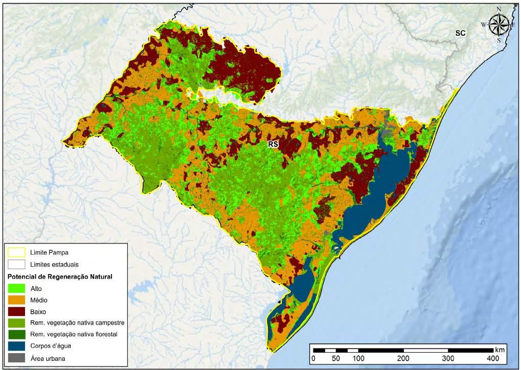 7 Resultados das análises sobre o Potencial de Regeneração natural no Pampa O mapa final do potencial de regeneração no Pampa é resultado de uma sobreposição das análises dos grupos campestres e