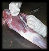 60% Espécie Gordura (g/100g) Colesterol (mg/100g) Caprina Longissimus dorsi 2,3 57,8 Biceps femoris 2 69,5 Bovina L.