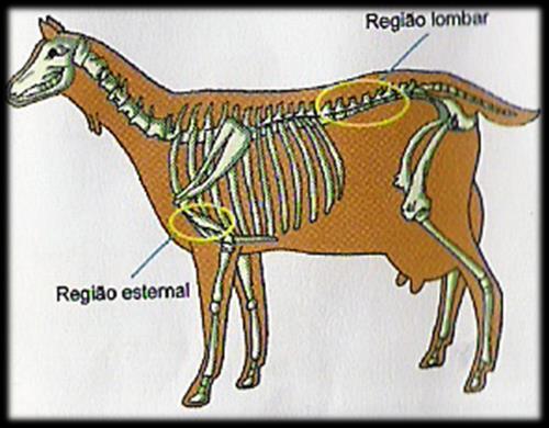 Locais de