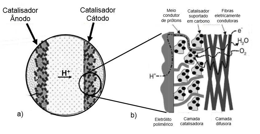 24 são indispensáveis para que o funcionamento de uma PEMFC ocorra de modo satisfatório, pois tratam-se de eletrodos com alta área ativa onde ocorre a difusão dos reagentes na fase gasosa com o