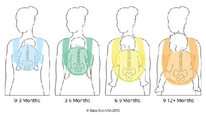 Fisiologia e Ergonomia ao Carregar Entende-se por posição fisiológica do bebê, aquela que ele apresenta desde seu nascimento e evolui conforme o seu crescimento, conforme apresentado nas