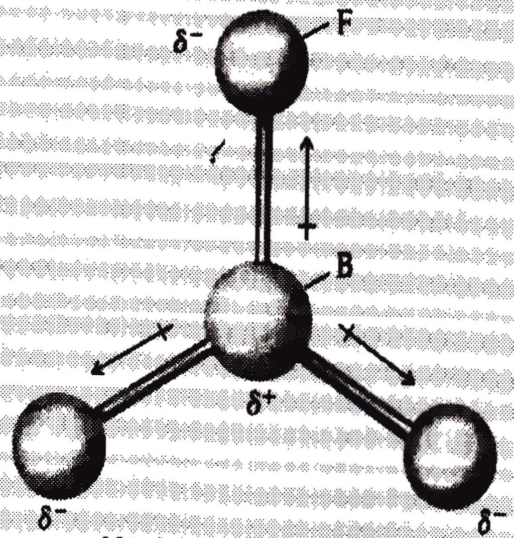 Molécula de BF 3 Não
