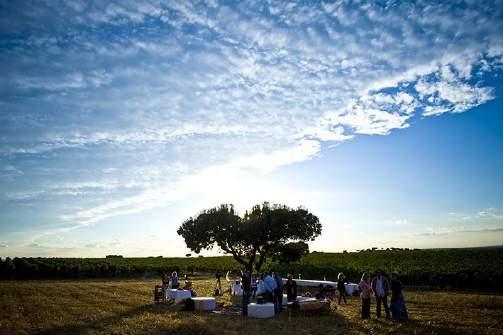 6º Dia 01 de maio - Évora/ Campo Maior / Belmonte Café da manhã.