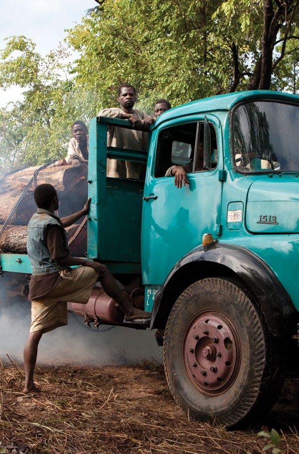 Reforço da governação florestal em Moçambique Opções para a promoção de uma exploração florestal mais
