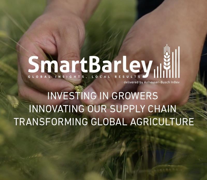 1. Tudo começa no campo: Smart Barley Programa global para conectar digitalmente os agricultores com a