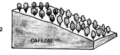 físico-químicas; tropicalidade dos climas; tipo de cobertura vegetal; forma, declividade e comprimento das encostas e, finalmente, o uso e manejo inadequado dos solos. Fonte: CUNHA, S.B. e GUERRA, A.