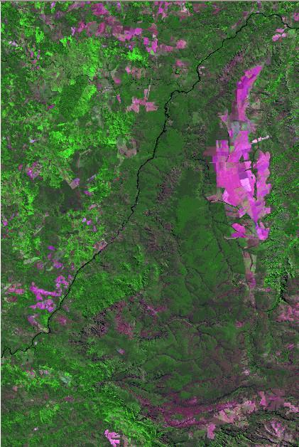 Terra Indígena São Marcos / MT 1993-2000 Estudos