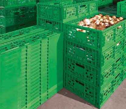 Caixas agrícolas empilháveis no tamanho base de 600 x 400 mm com várias