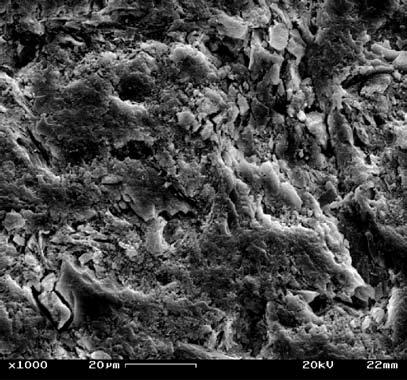 [Figure 9: X-ray diffraction patterns of the industrial ceramic body - MI - fired at 1050, 1100, 1150 e 1200 C.