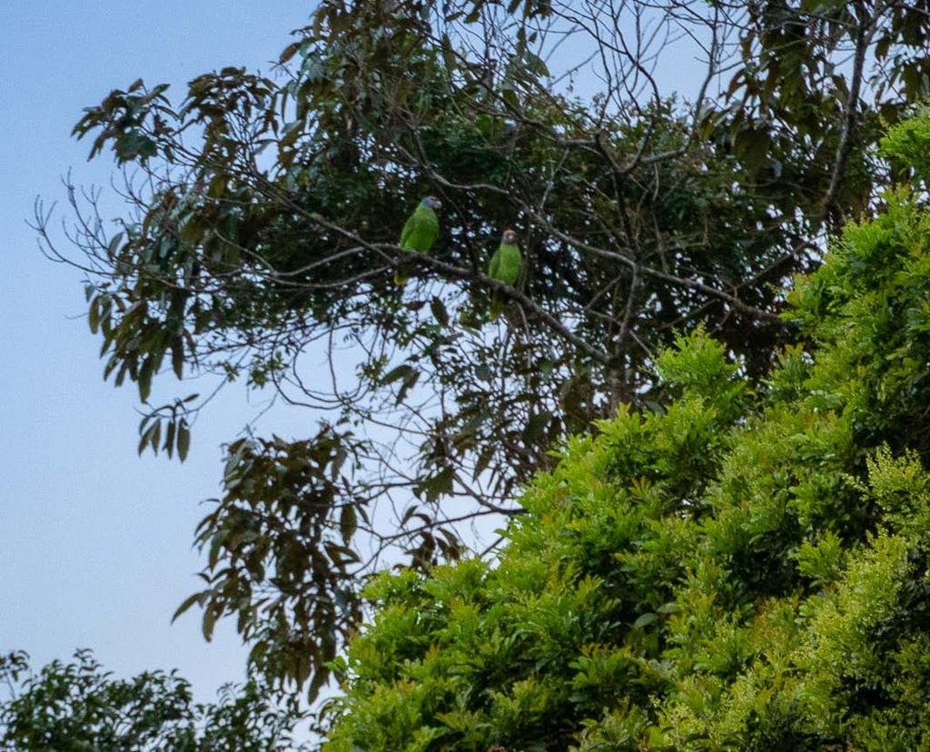 Episódios de aproximadamente 5 minutos abordam diferentes aspectos do parque nacional: da riqueza da sua biodiversidade às raízes caiçaras das comunidades que vivem ali, no entorno e no interior do