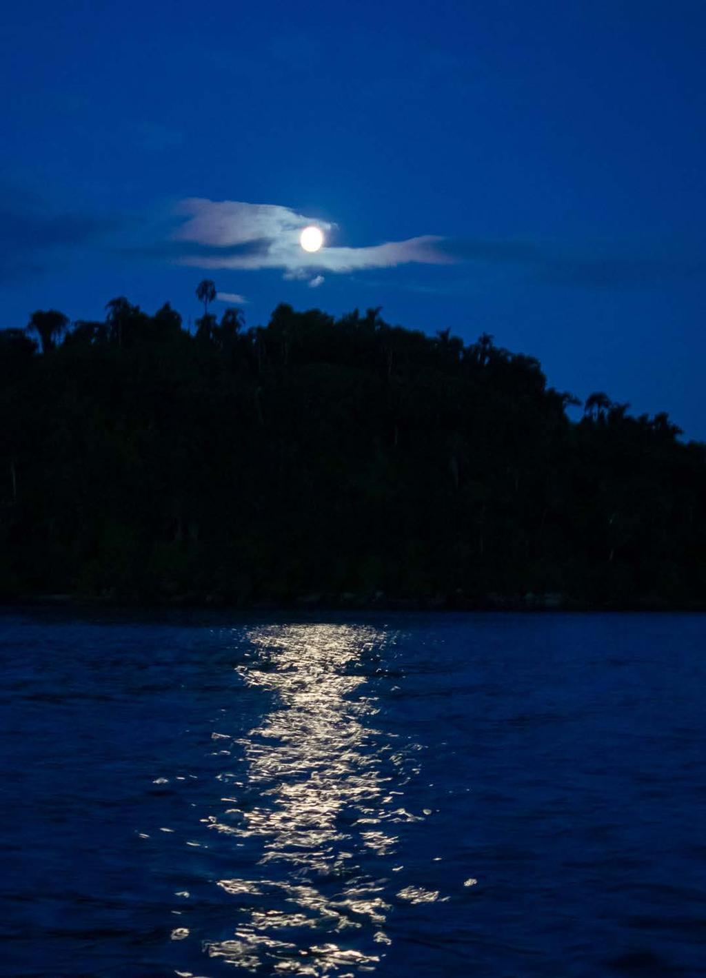 LUZ ENQUANTO SE ERGUE ACIMA DA ILHA DO