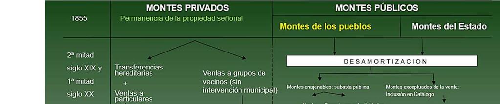 Estrutura de propriedade florestal em Espanha Los montes vecinales en mano común en