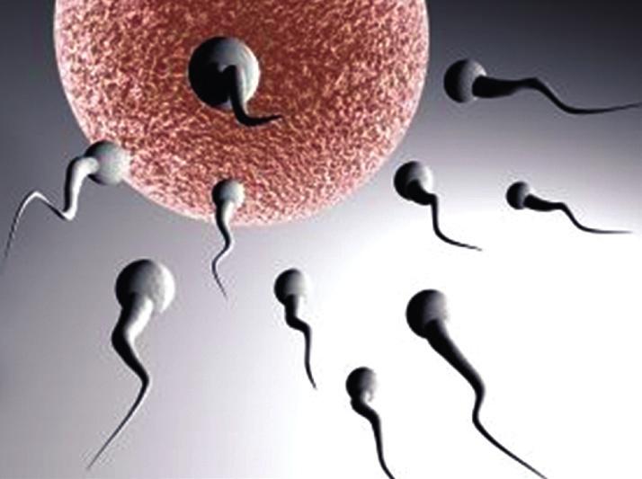Existem várias classificações para o aborto de acordo com os sintomas percebidos e apresentados pela grávida.