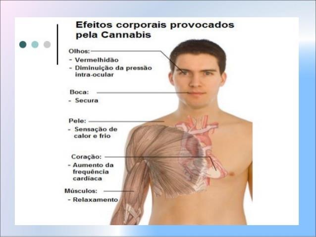 ALTERAÇÕES PSÍQUICAS E FÍSICAS Efeitos físicos: Taquicardia Elevação da pressão arterial quando