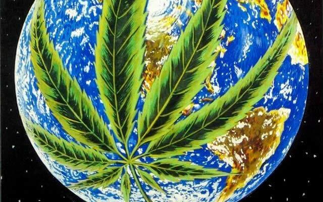 INTRODUÇÃO A maconha é a droga ilícita mais utilizada no mundo. No último ano, cerca de 4,4% da população mundial na faixa etária de 15 a 64 anos utilizaram a droga.