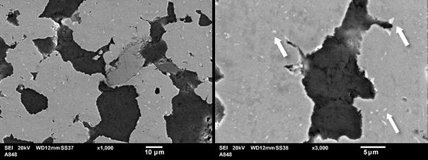 Devido ao maior aumento e ao contraste entre as fases, é possível observar também as regiões menores de prata da ordem de até 5 µm (regiões mais claras indicadas pelas setas), que estão distribuídas