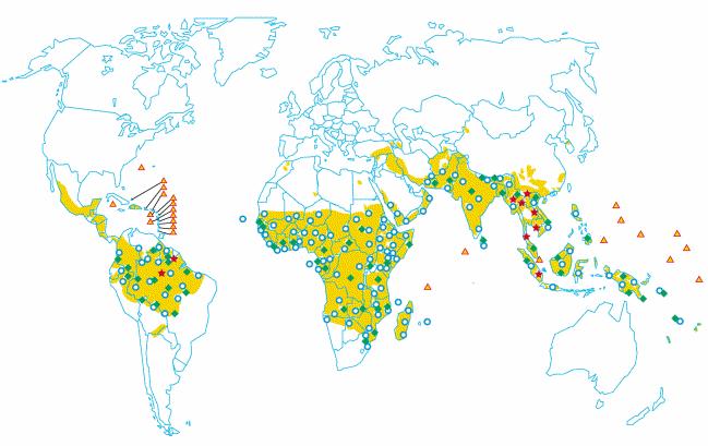 Actualmente, a região do globo mais afectada pela resistência do P. vivax à cloroquina é o Sudeste Asiático (Rieckman, 1989; Baird et al., 1991; Malar-Than et al.