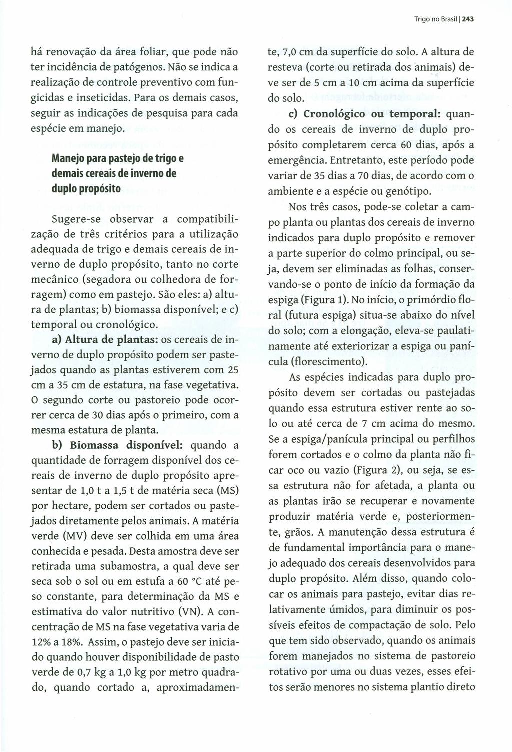 Trigo no Brasil I 243 há renovação da área foliar, que pode não ter incidência de patógenos. Não se indica a realização de controle preventivo com fungicidas e inseticidas.