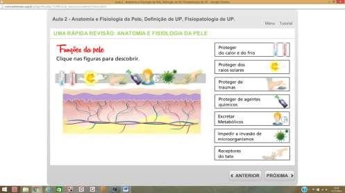 Para representar a fisiopatologia, o estadiamento e as regiões vulneráveis à formação de UP, foi utilizado o Homem Virtual (Figura 9) - recurso