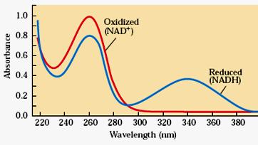 economia 1) Existem carreadores ativados de Elétrons para reações de Oxidantes Nicotinamida adenina