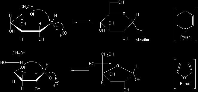 origina formas cíclicas diferentes de moléculas anéis com 5 ou 6