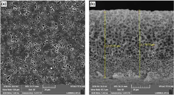 Métodos Antes de iniciar a preparação das membranas, a poliamida 6 pura e seus respectivos nanocompósitos com 1, 3, 5% em peso de argila, foram dissolvidas em ácido fórmico.