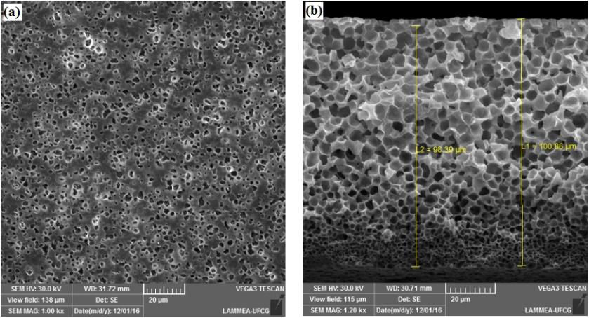 Figura 2. Fotomicrografias obtidas por MEV da superfície de topo da PA6/1% argila/20% KCl (a) superfície e (b) seção transversal. Figura 3.