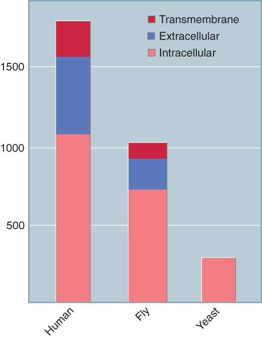 functions FIGURE 18: Increasing complexity in eukaryotes is accompanied