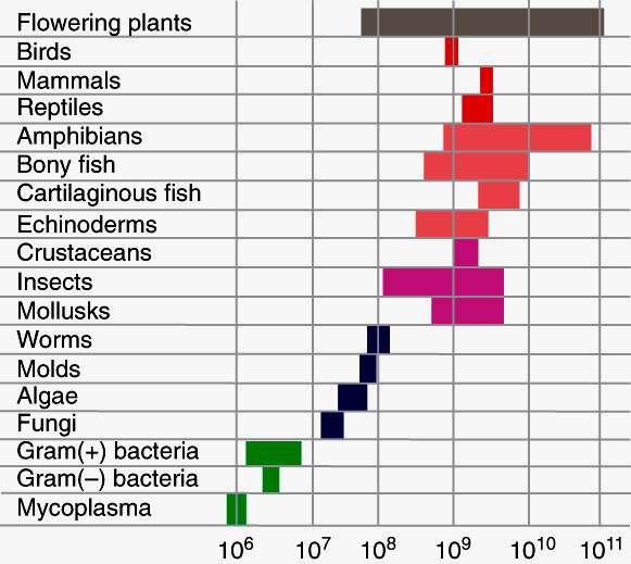 Genoma de Plantas = Bagunça!