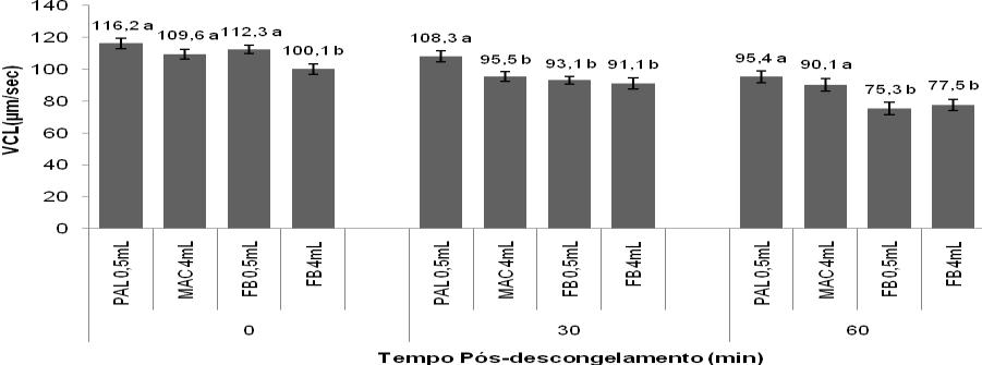 44 4.2 CINEMÁTICA 4.2.1 Velocidade curvilínea (VCL, µm/sec) Figura 7 Velocidade Curvilínea (VCL, µm/sec) em função do tempo de pósdescongelamento.