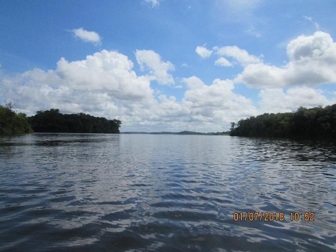 Rio Araguari, no braço do Igarapé do