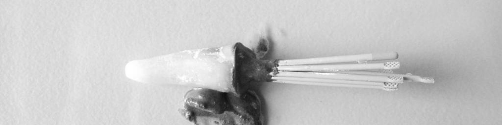 Na porção cervical da raiz procedeu-se o corte dos cones através de uma espátula 24 de inserção de cimento nº 6335,