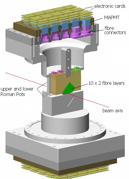 ALFA Absolute Luminosity for ATLAS