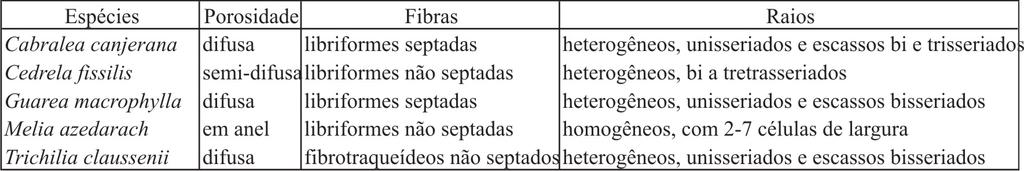 Quadro 1 - Principais diferenças anatômicas entre Melia azedarach e espécies nativas de Meliaceae no sul do Brasil. REFERÊNCIAS BIBLIOGRÁFICAS BARRICHELO, L.E.G.; FOELKEL, C.E.B. Processo nítrico-acético para maceração de madeira.