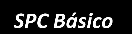 SPC Básico Garantir que os participantes adquirem os conhecimentos suficientes para a utilização do SPC nas suas operações.