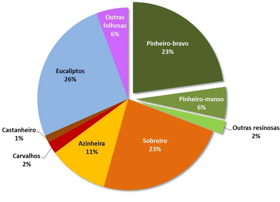 Seminário PNPOT Território e Prospetiva Auditório 2