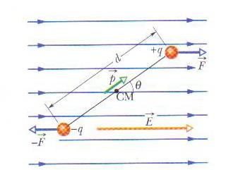 DIPOLO NUM CAMPO ELÉTRICO Como já vimos,