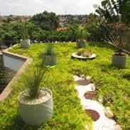 Telhado Verde Os telhados verdes, muito comuns em diversos países e na Europa é grande sucesso também no Brasil, pois além de agregar beleza aos
