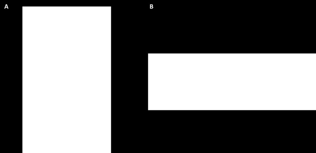 B) Predição estrutural da proteína PvAMA-1, SS - Peptídeo sinal, DI - domínio I, DII domínio II, DIII domínio III, TM região transmembrana, CT região citoplasmática, adaptado de (DREW et al., 2018).