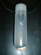62 Figura 1 R. opacus após processo de centrifugação, suspenso numa solução a 1% contendo NaCl depois de um período de cultivo de 48h.