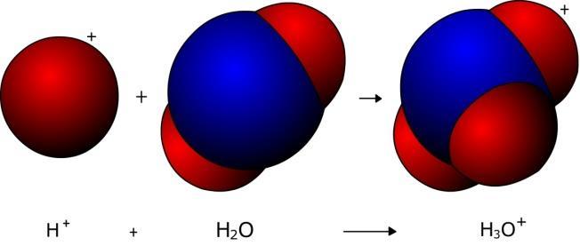 O íon H + em água O íon H + é um próton sem elétrons. Em água, o H + (aq) forma aglomerados.