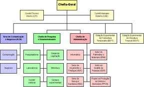 7.3 Organograma Organograma é um gráfico que representa a estrutura formal de uma organização.