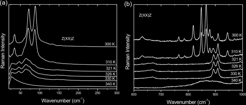 Ainda, no espectro Raman em 310 K, é observado claramente um novo pico associado a um modo centrado em 668 cm 1 que corresponde a uma nova fase para o cristal de ácido esteárico, pois tal pico não