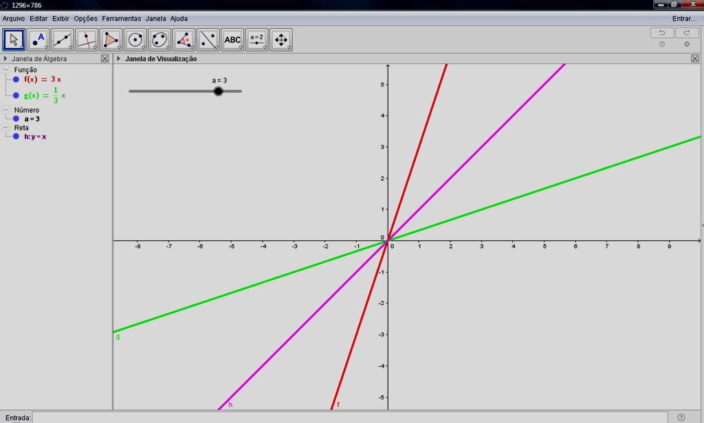 da inversa g, analisar coordenadas de pontos pertencentes às retas, analisar a simetria das retas em relação à bissetriz dos quadrantes ímpares, dentre outras.
