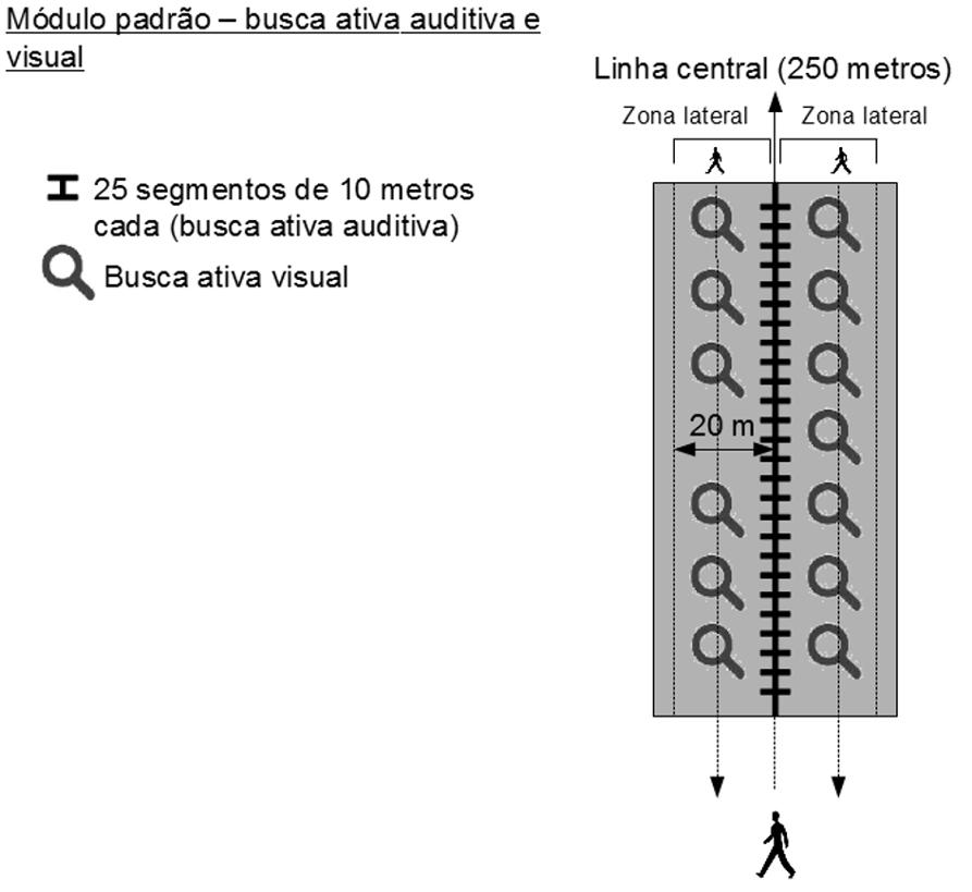 ANEXO IV Desenhos esquemáticos dos módulos de