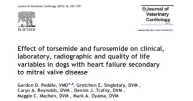 Torasemida BID Melhora clínica Sem ascite por 198 dias J. Vet. Cardiol., v.13, p.287-292, 2011. J. Vet. Cardiol., v.14, p.253-259, 2012.