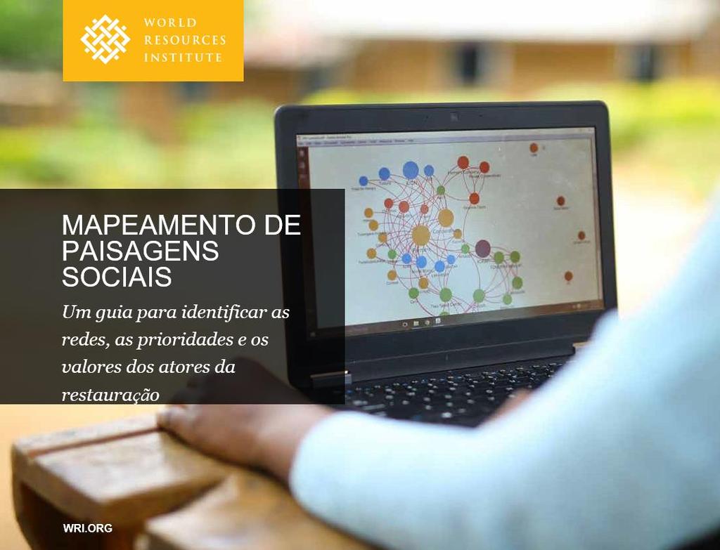 MAPEAMENTO DE ATORES Paisagem social A análise traz informações orientadoras para pensar arranjos de governança de processos de restauração florestal