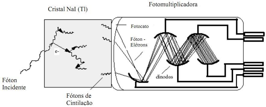 convertê-las em luz (NaI, CsI, LaBr3, etc.).